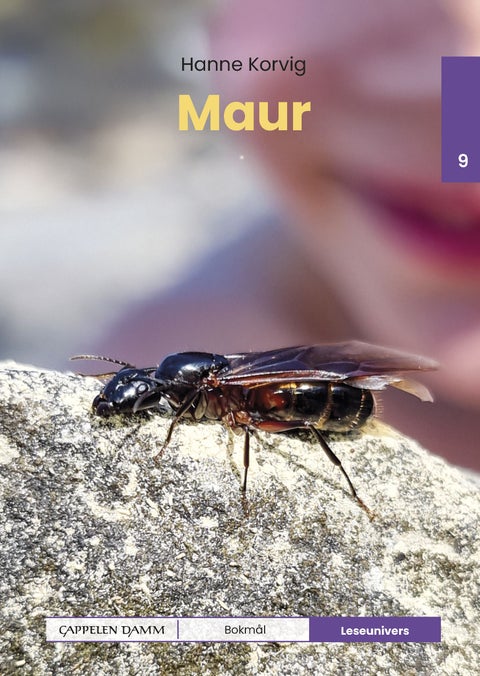 Maur