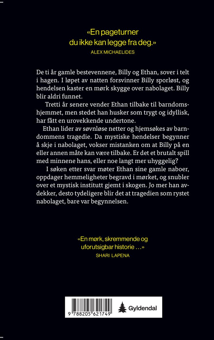 Forsvunnet i natten