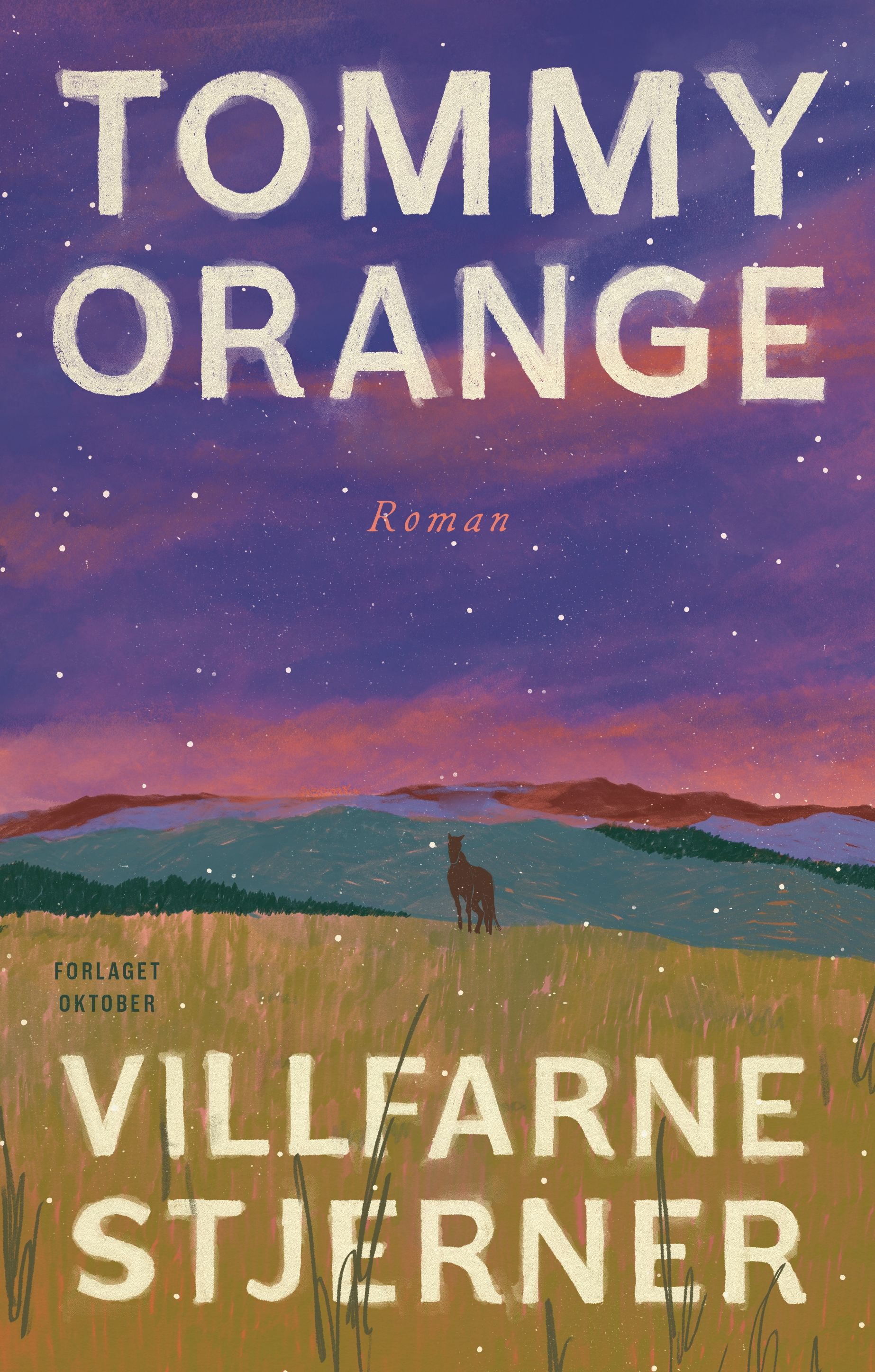 Villfarne stjerner - roman