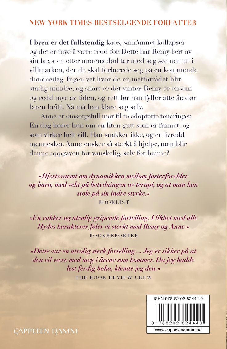 En helt vanlig gutt