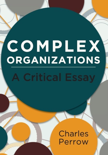 Complex Organizations - A Critical Essay