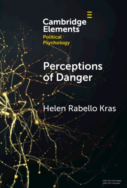 Perceptions of Danger - How Risk Assessments Underpin Attitudes on Crime and Intimate Partner Violence