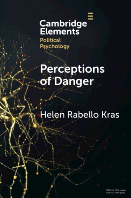 Perceptions of Danger - How Risk Assessments Underpin Attitudes on Crime and Intimate Partner Violence