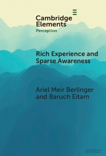 Rich Experience and Sparse Awareness - Sensing More Than We Know