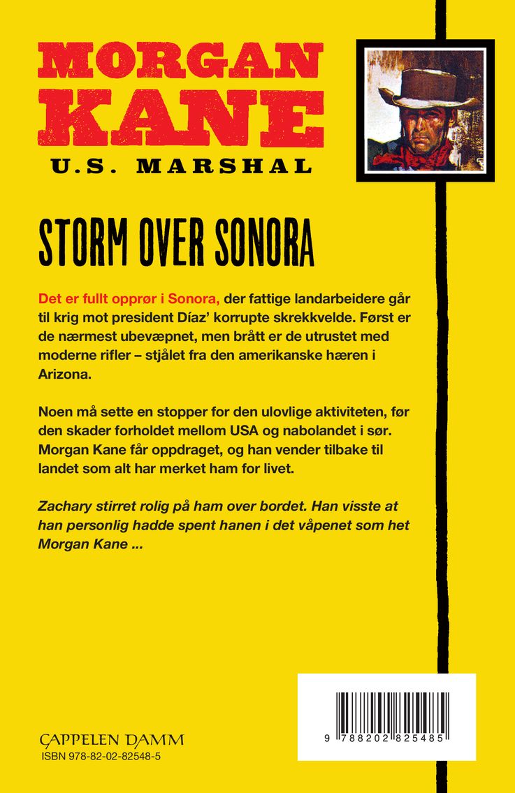 Storm over Sonora