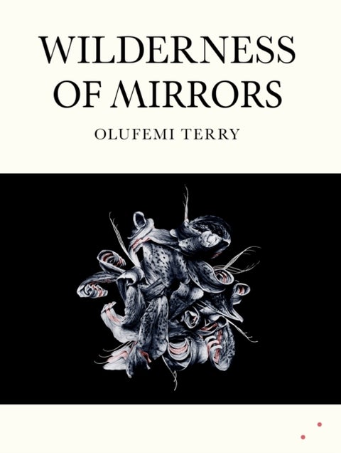 Wilderness of Mirrors