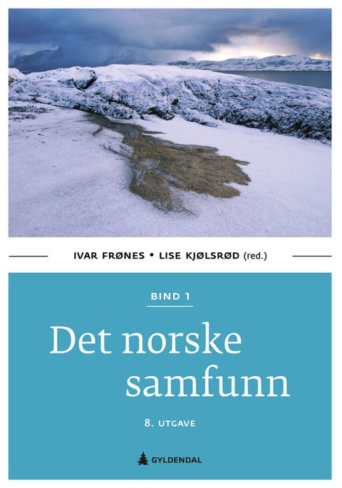 Det norske samfunn - Bind 1