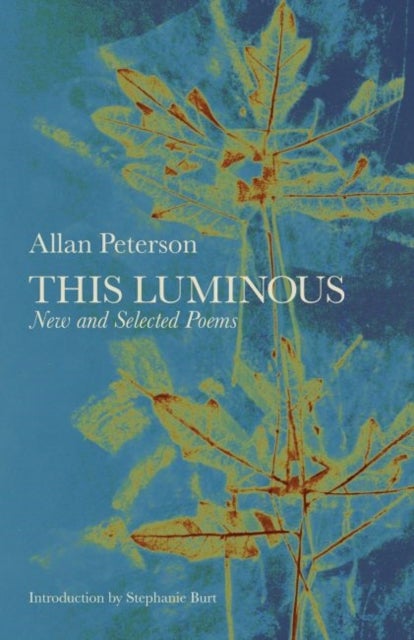 This Luminous - New and Selected Poems