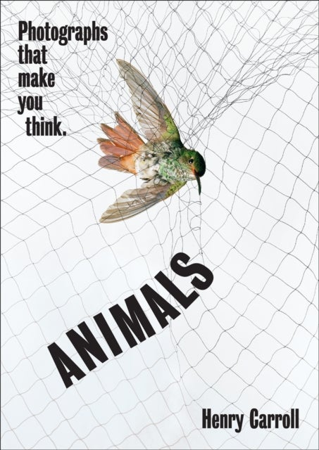 ANIMALS - Photographs That Make You Think