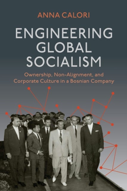 Engineering Global Socialism - Ownership, Non-Alignment, and Corporate Culture in a Bosnian Company