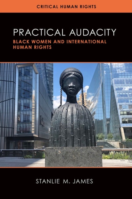 Practical Audacity - Black Women and International Human Rights