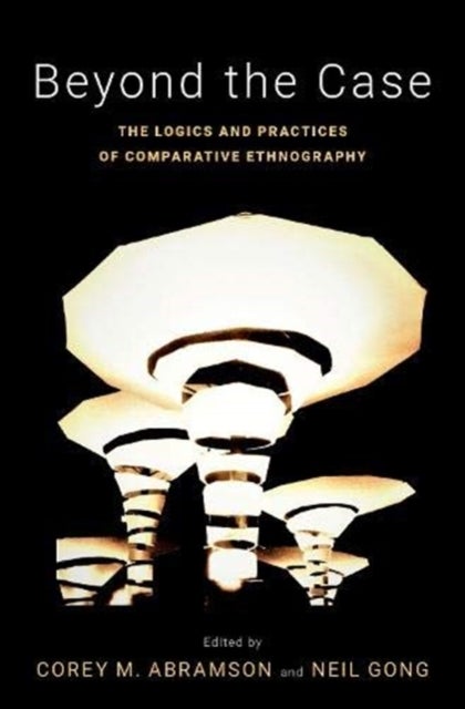 Beyond the Case - The Logics and Practices of Comparative Ethnography
