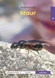 Maur