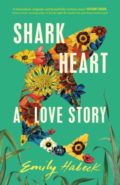Shark Heart: A love story - 'A fantastical, original and beautifully written novel' ANTHONY DOERR