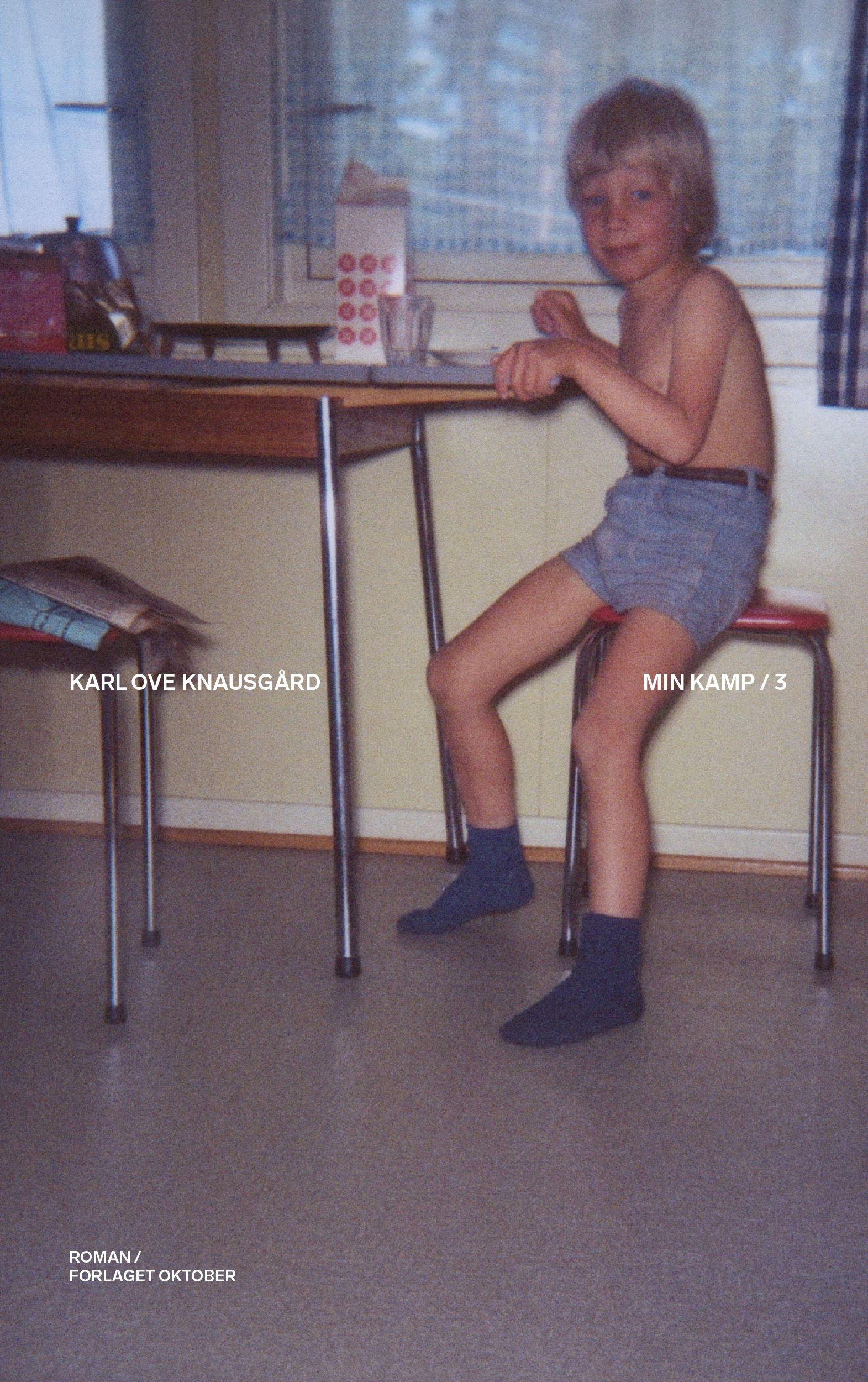 Min kamp - Tredje bok : roman
