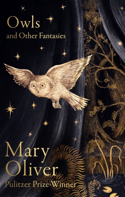 Owls and Other Fantasies