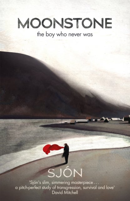 Moonstone: The Boy Who Never Was - 'A brief, brilliant jewel of a book' Guardian