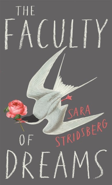 The Faculty of Dreams - Longlisted for the Man Booker International Prize 2019