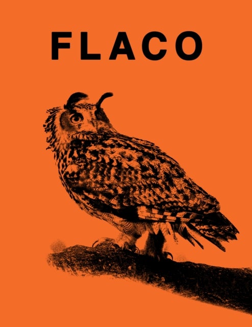 FLACO - The Owl Who Escaped Captivity and Won the Hearts of the World