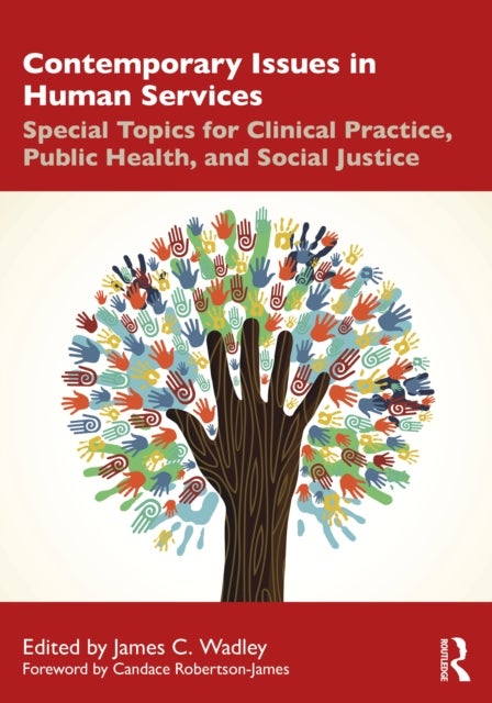 Contemporary Issues in Human Services - Special Topics for Clinical Practice, Public Health, and Social Justice