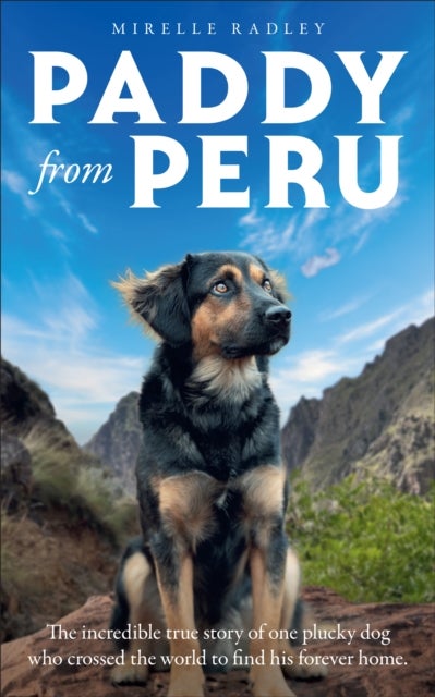 Paddy from Peru - The incredible true story of one plucky dog who crossed the world to find his forever home