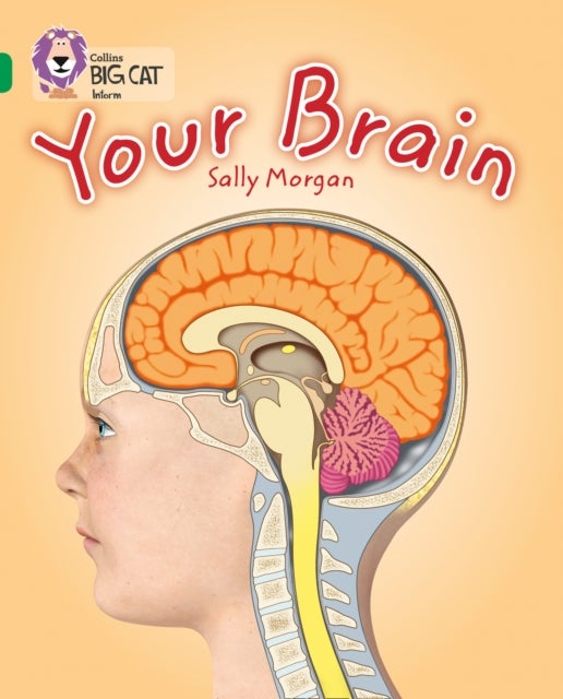 Your Brain - Band 15/Emerald