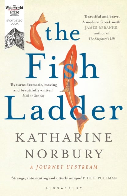 The Fish Ladder - A Journey Upstream