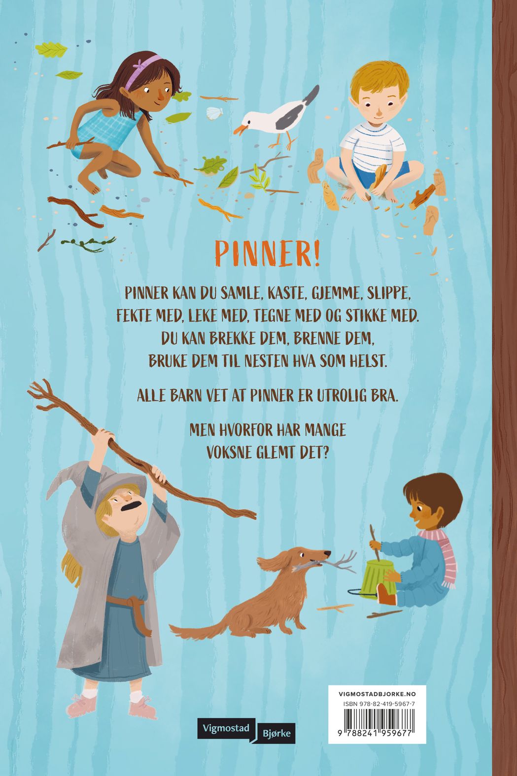 Jeg elsker pinner