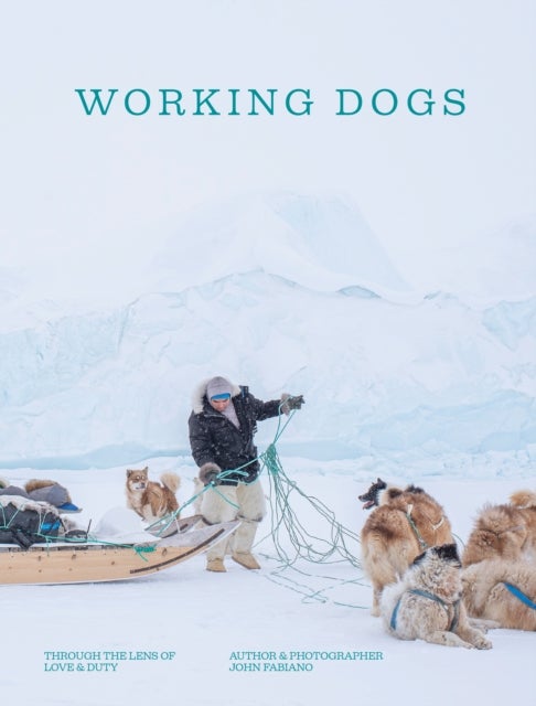 Working Dogs - Through the lens of love & duty