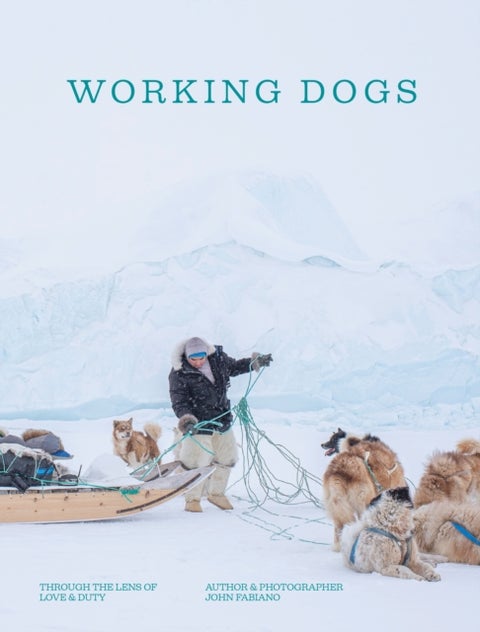 Working Dogs - Through the lens of love & duty