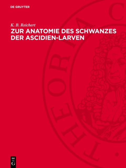 Zur Anatomie des Schwanzes der Ascidien-Larven - (Botryllus violaceus)