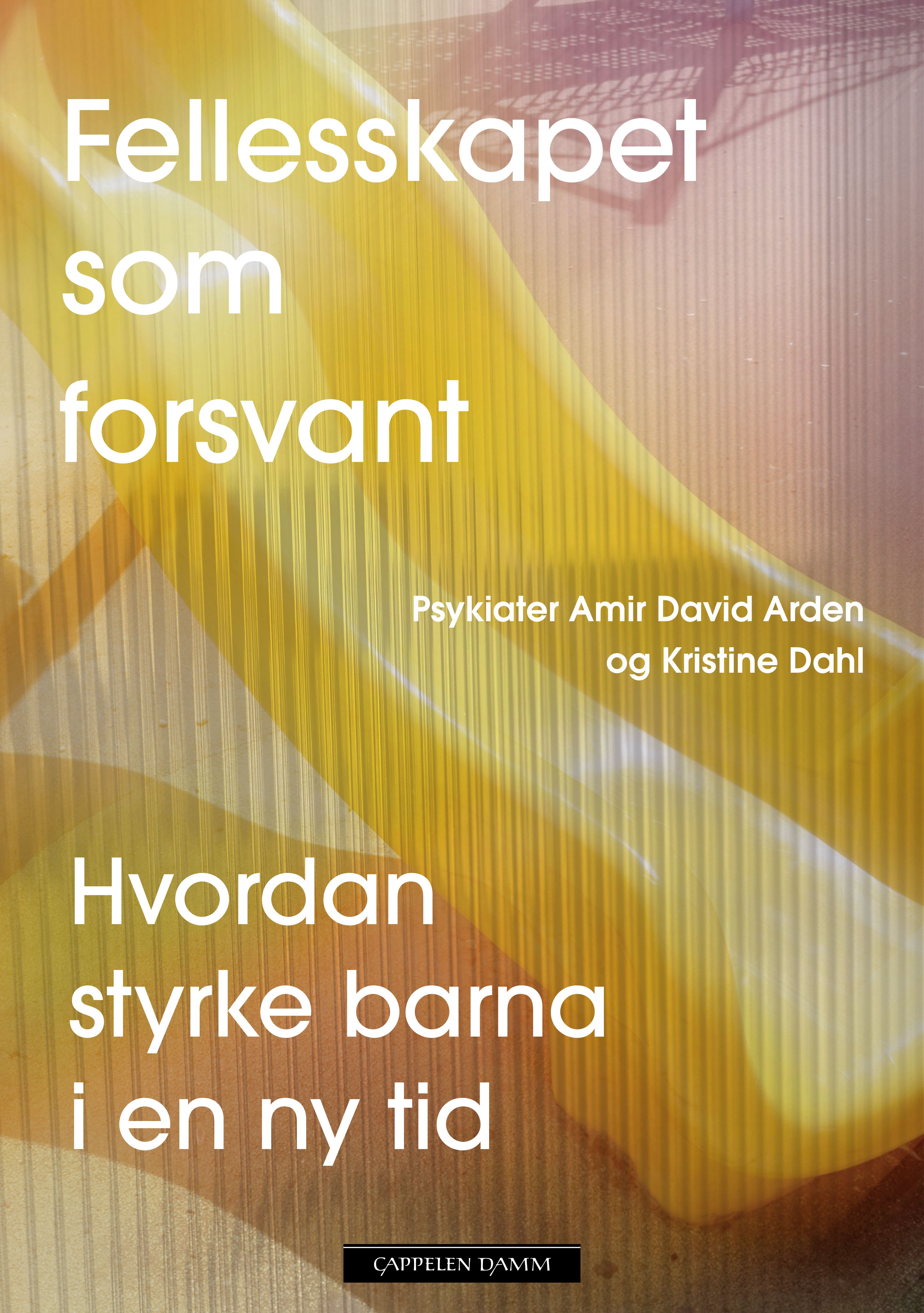 Fellesskapet som forsvant - hvordan styrke barna i en ny tid