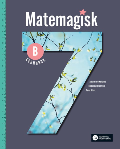 Matemagisk 7B - Grunnbok : matematikk for barnetrinnet