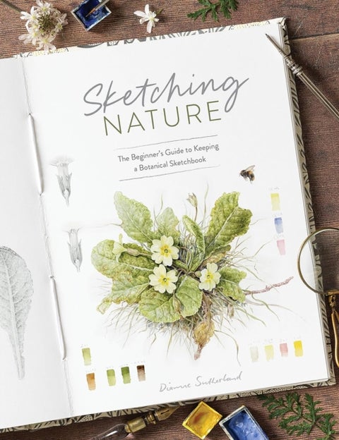 Sketching Nature - The Beginner’s Guide to Keeping a Botanical Sketchbook