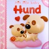 Hund
