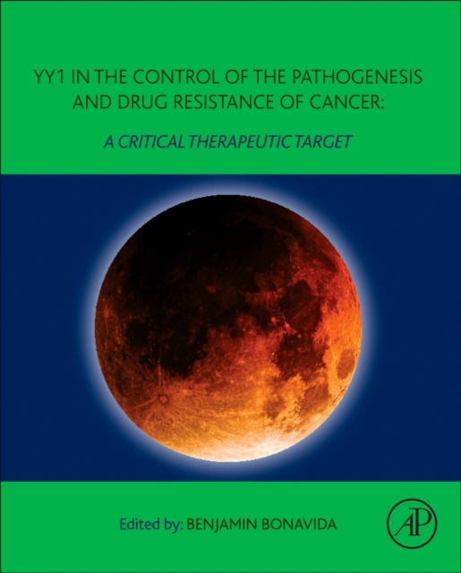 YY1 in the Control of the Pathogenesis and Drug Resistance of Cancer - A Critical Therapeutic Target