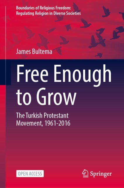 Free Enough to Grow - The Turkish Protestant Movement, 1961-2016