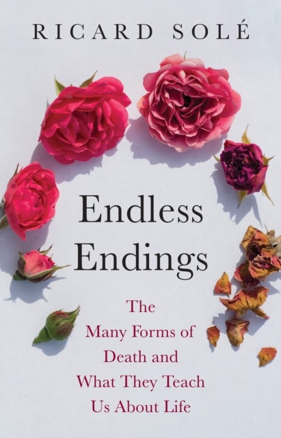 Endless Endings - The Many Forms of Death and What They Teach Us About Life