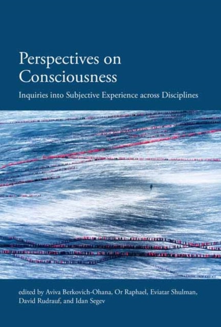 Perspectives on Consciousness - Inquiries into Subjective Experience across Disciplines