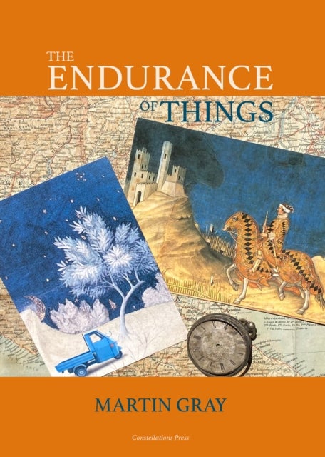 The Endurance of Things
