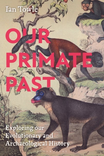 Our Primate Past - Exploring our Evolutionary and Archaeological History
