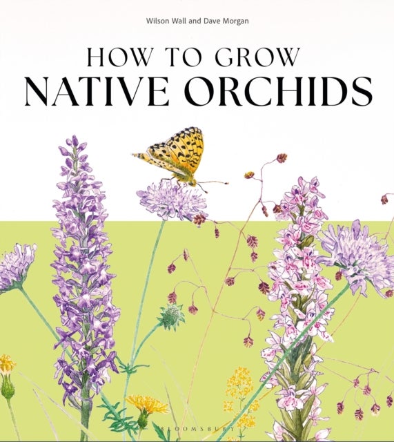 How to Grow Native Orchids