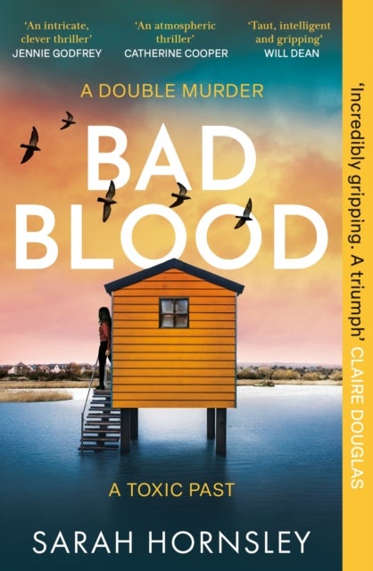 Bad Blood - PRE-ORDER NOW: the new gripping thriller from Sarah Hornsley, ONE DARK SUMMER