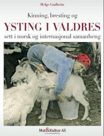 Kinning, bresting og ysting i Valdres - sett i norsk og internasjonal samanheng : dokumentasjon av ein ystetradisjon