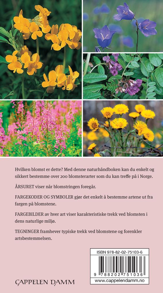 Blomster