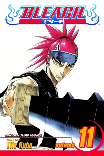 Bleach, Vol. 11 - A Star and a Stray Dog