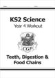 KS2 Science Year 4 Workout: Teeth, Digestion & Food Chains