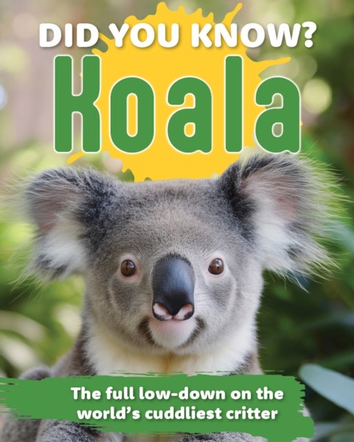 Did You Know? Koala - The full low-down on the world's cuddliest critter