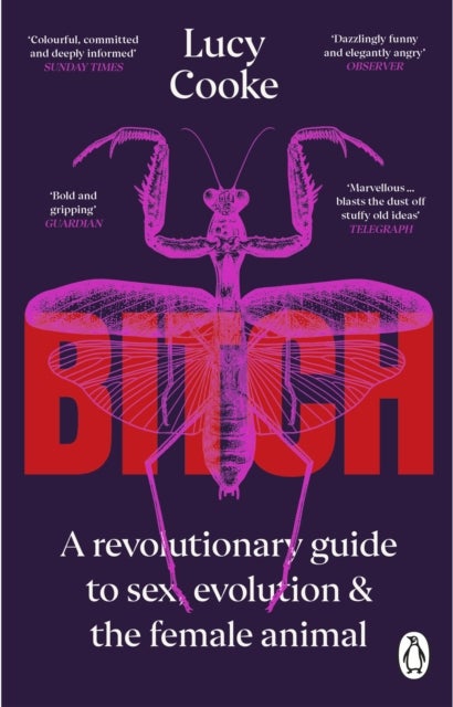 Bitch - What does it mean to be female?