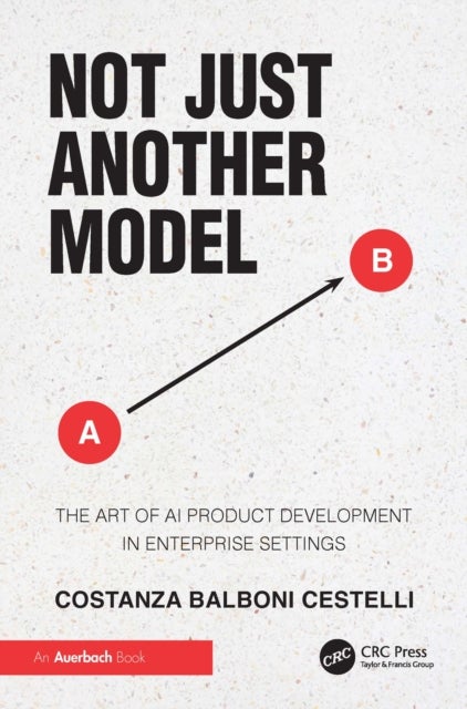 Not Just Another Model - The Art of AI Product Development in Enterprise Settings